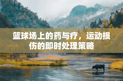 篮球场上的药与疗，运动损伤的即时处理策略