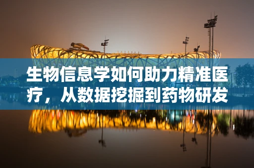 生物信息学如何助力精准医疗，从数据挖掘到药物研发的桥梁