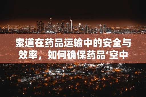 索道在药品运输中的安全与效率，如何确保药品‘空中快线’的万无一失？