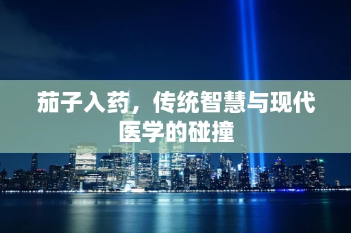 茄子入药，传统智慧与现代医学的碰撞