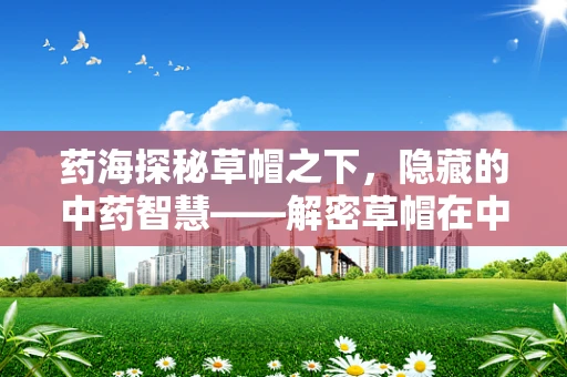 药海探秘草帽之下，隐藏的中药智慧——解密草帽在中药炮制中的神秘作用