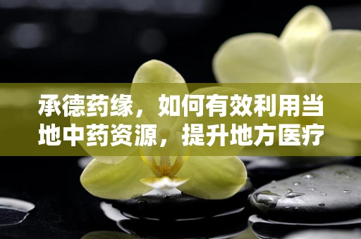 承德药缘，如何有效利用当地中药资源，提升地方医疗保健？