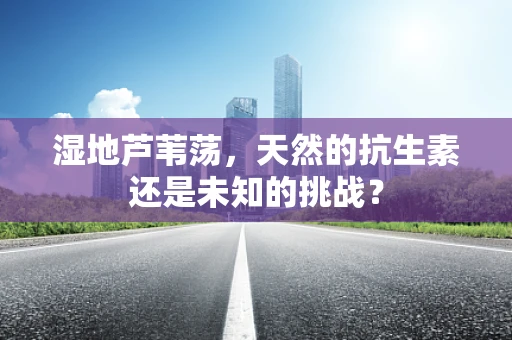 湿地芦苇荡，天然的抗生素还是未知的挑战？