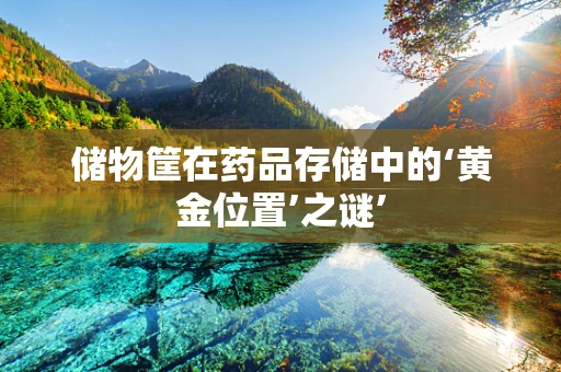 储物筐在药品存储中的‘黄金位置’之谜’