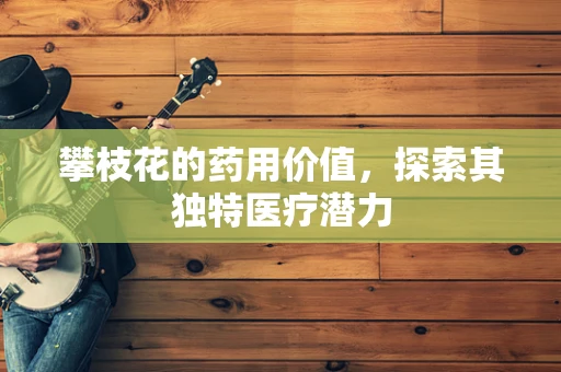 攀枝花的药用价值，探索其独特医疗潜力