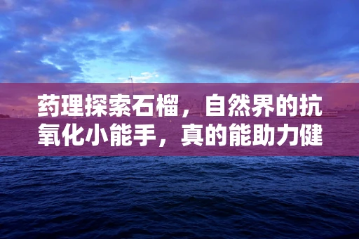 药理探索石榴，自然界的抗氧化小能手，真的能助力健康吗？