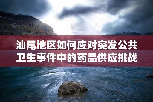 汕尾地区如何应对突发公共卫生事件中的药品供应挑战？