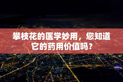 攀枝花的医学妙用，您知道它的药用价值吗？