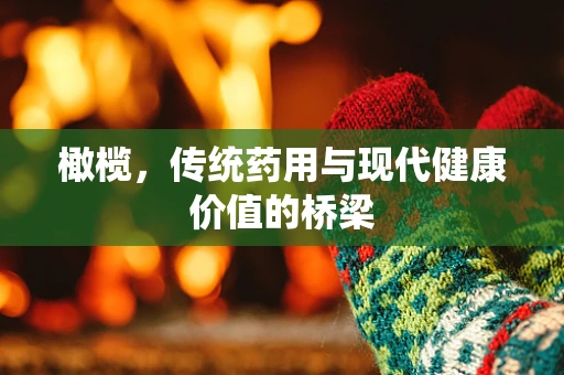 橄榄，传统药用与现代健康价值的桥梁