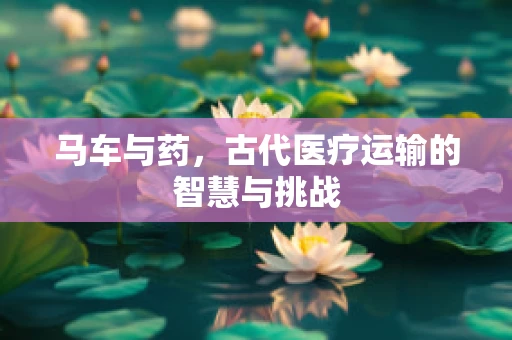 马车与药，古代医疗运输的智慧与挑战