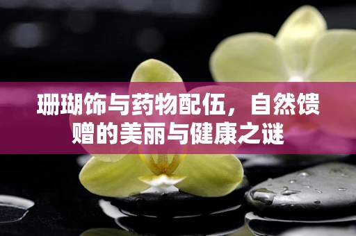 珊瑚饰与药物配伍，自然馈赠的美丽与健康之谜