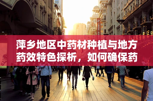 萍乡地区中药材种植与地方药效特色探析，如何确保药材品质与地域性药效的平衡？