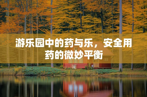 游乐园中的药与乐，安全用药的微妙平衡