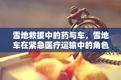 雪地救援中的药与车，雪地车在紧急医疗运输中的角色与挑战