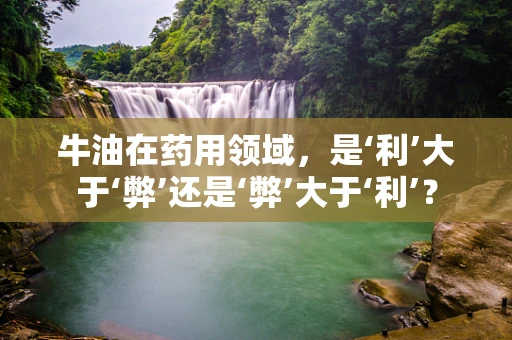 牛油在药用领域，是‘利’大于‘弊’还是‘弊’大于‘利’？