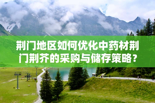 荆门地区如何优化中药材荆门荆芥的采购与储存策略？
