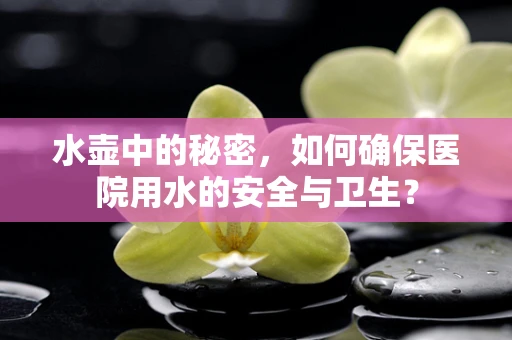 水壶中的秘密，如何确保医院用水的安全与卫生？