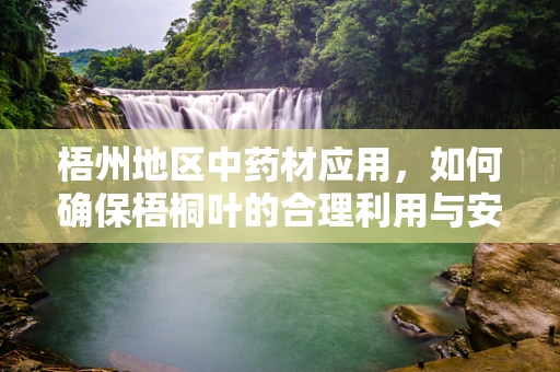 梧州地区中药材应用，如何确保梧桐叶的合理利用与安全？