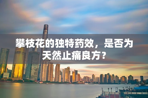 攀枝花的独特药效，是否为天然止痛良方？