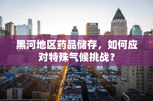 黑河地区药品储存，如何应对特殊气候挑战？