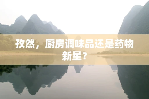 孜然，厨房调味品还是药物新星？