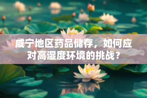 咸宁地区药品储存，如何应对高湿度环境的挑战？
