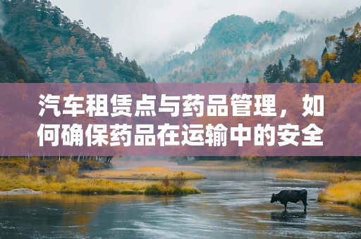 汽车租赁点与药品管理，如何确保药品在运输中的安全？