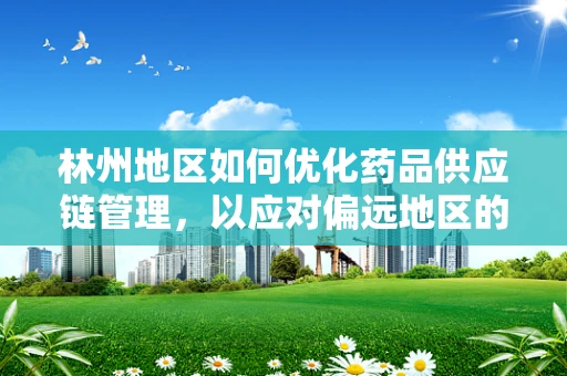 林州地区如何优化药品供应链管理，以应对偏远地区的医疗挑战？