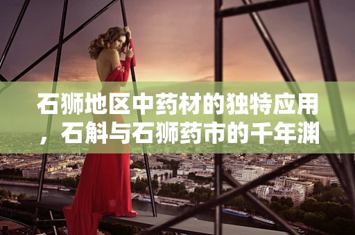 石狮地区中药材的独特应用，石斛与石狮药市的千年渊源