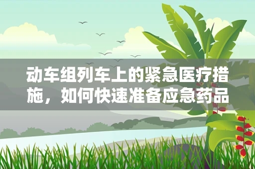 动车组列车上的紧急医疗措施，如何快速准备应急药品？