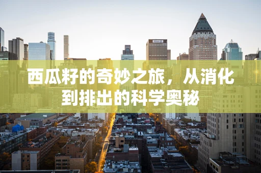 西瓜籽的奇妙之旅，从消化到排出的科学奥秘