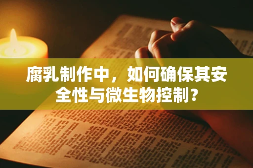 腐乳制作中，如何确保其安全性与微生物控制？