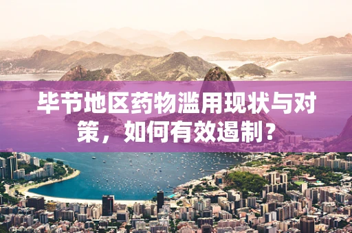 毕节地区药物滥用现状与对策，如何有效遏制？