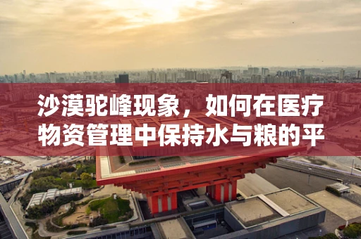 沙漠驼峰现象，如何在医疗物资管理中保持水与粮的平衡？