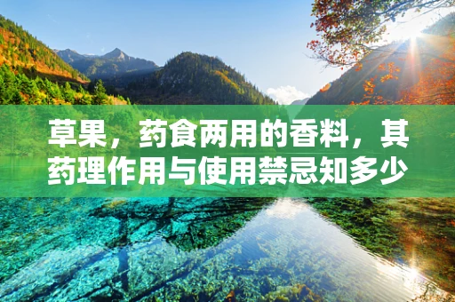 草果，药食两用的香料，其药理作用与使用禁忌知多少？