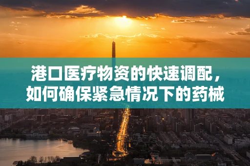 港口医疗物资的快速调配，如何确保紧急情况下的药械畅通无阻？