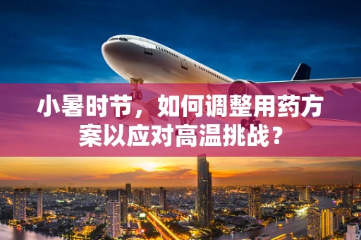 小暑时节，如何调整用药方案以应对高温挑战？