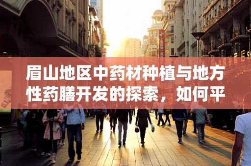 眉山地区中药材种植与地方性药膳开发的探索，如何平衡传统与现代？