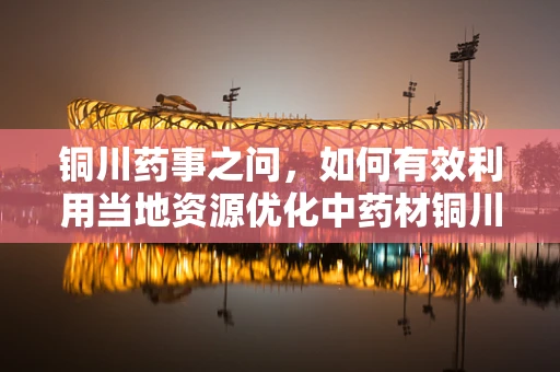 铜川药事之问，如何有效利用当地资源优化中药材铜川丹参的提取工艺？