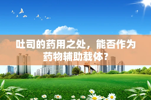 吐司的药用之处，能否作为药物辅助载体？
