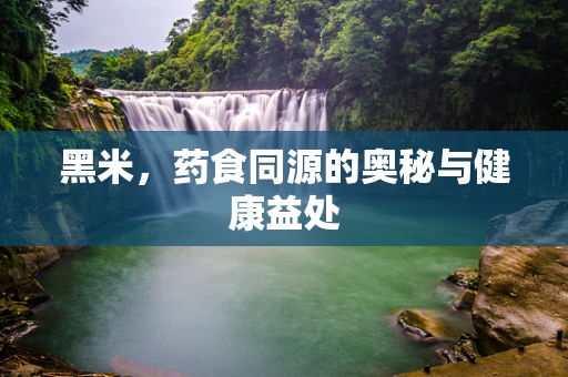 黑米，药食同源的奥秘与健康益处