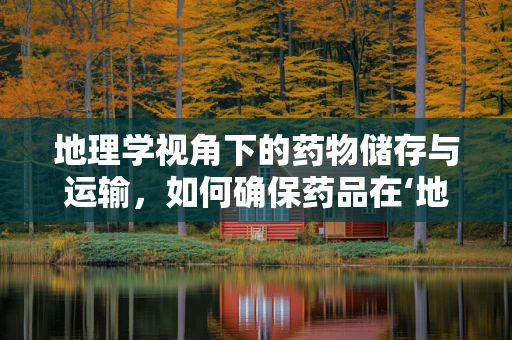 地理学视角下的药物储存与运输，如何确保药品在‘地球村’中的安全与效力？