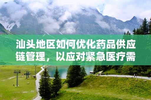 汕头地区如何优化药品供应链管理，以应对紧急医疗需求？