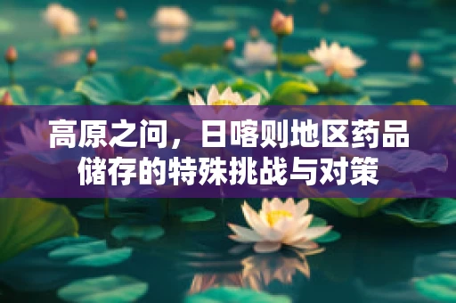 高原之问，日喀则地区药品储存的特殊挑战与对策