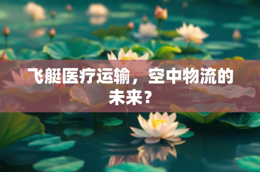 飞艇医疗运输，空中物流的未来？