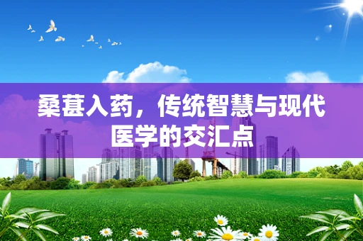 桑葚入药，传统智慧与现代医学的交汇点