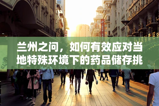 兰州之问，如何有效应对当地特殊环境下的药品储存挑战？