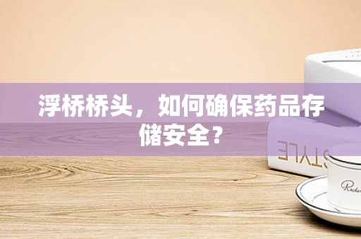 浮桥桥头，如何确保药品存储安全？