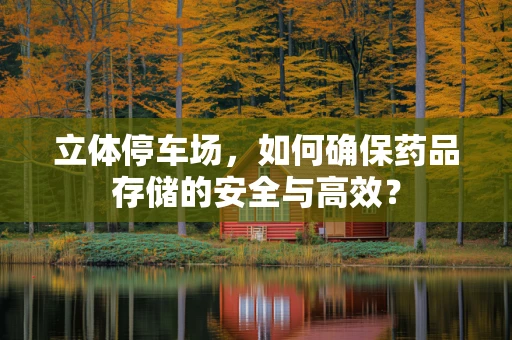 立体停车场，如何确保药品存储的安全与高效？