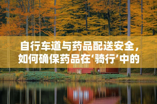 自行车道与药品配送安全，如何确保药品在‘骑行’中的安全与效率？
